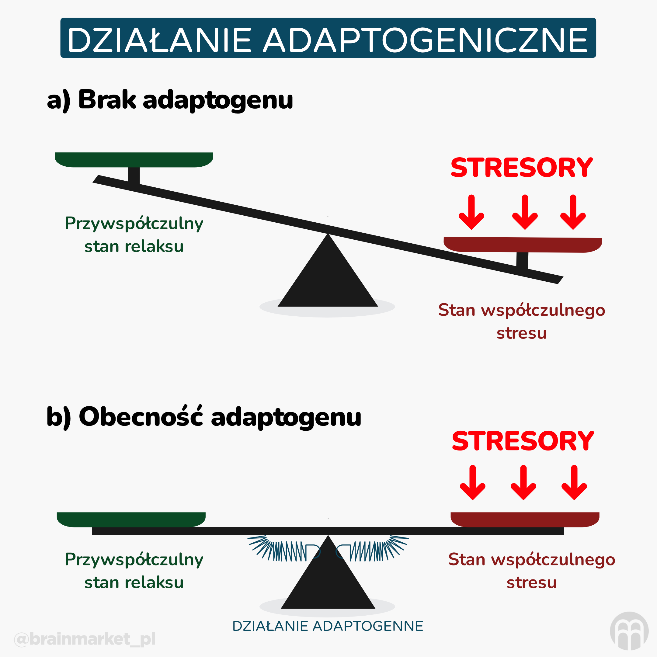 adaptogenní efekt_infografika_pl_1